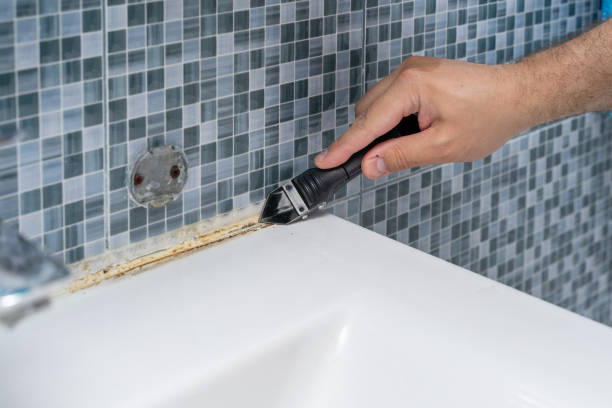 Best White Mold Remediation in Chincoteague, VA