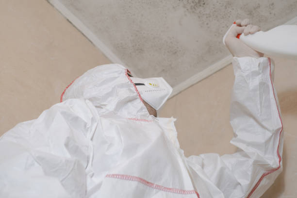 Trusted Chincoteague, VA Mold Remediation Experts
